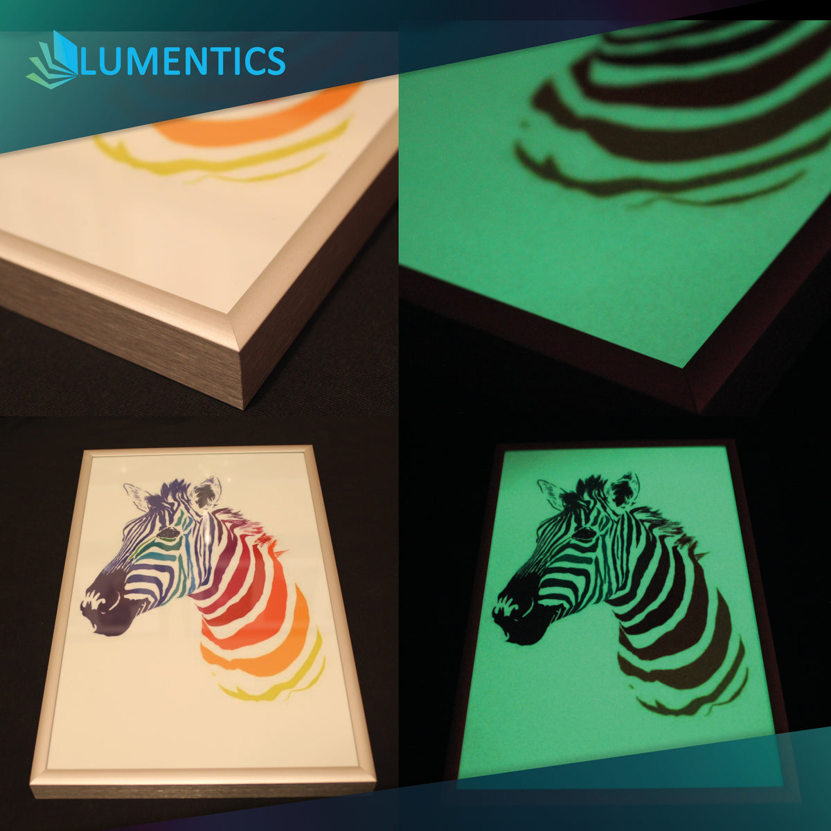 Leuchtpapier für Laserdrucker, bedruckt mit buntem Zebra im Rahmen, bei Licht und im Dunkeln grün leuchtend